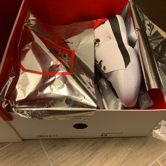 Jordan Future Flight XXXIII - Picture 4 of 5